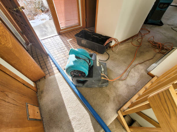Best Mold removal after water damage  in St James, NY