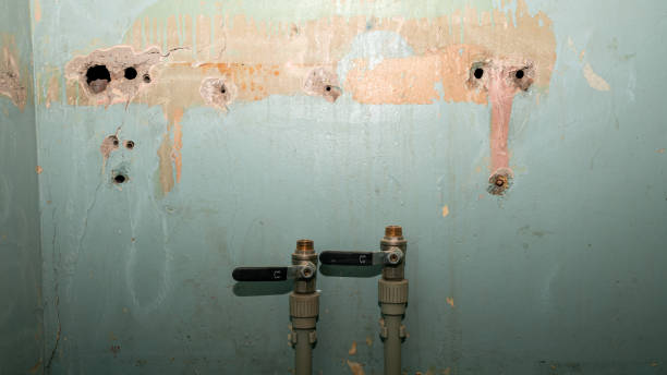 Best Mold removal after water damage  in St James, NY