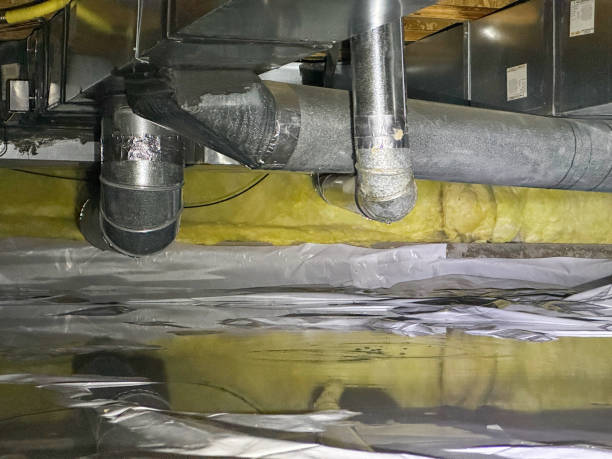 Best Basement water damage restoration  in St James, NY