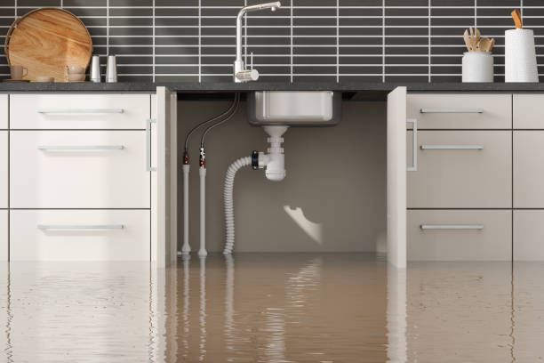 Best Professional water damage repair  in St James, NY